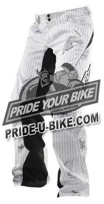 Мото-штаны кроссовые Fox Racing Nomad 2010