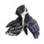 dainese_2012_carboncover_whiteblackblue_glove-sm.jpg
