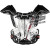 2010-EVS-Vex-Chest-Protector-Black-sm.jpg