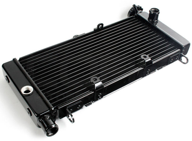 radiator-dlya-Honda-CB600-F-Hornet-98-99-00-01-02-03-04-05.jpg radiator-dlya-Honda-CB600-F-Hornet-98-99-00-01-02-03-04-05.jpg