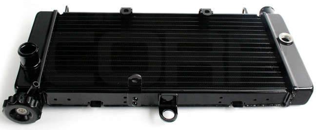 radiator-dlya-Honda-CB600-F-Hornet-98-99-00-01-02-03-04-05-2.jpg radiator-dlya-Honda-CB600-F-Hornet-98-99-00-01-02-03-04-05-2.jpg